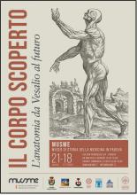 Il Corpo Scoperto Mobile Padova Cultura